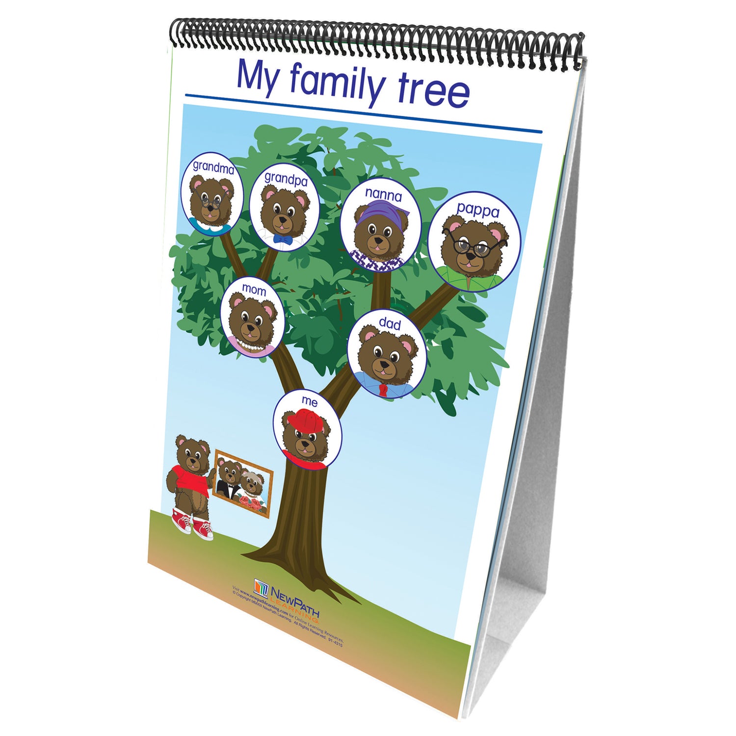 Social Studies Readiness Flip Chart, Set of All 5