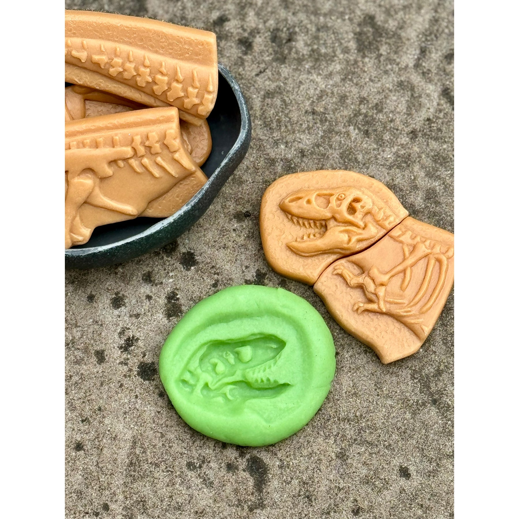 Dig and Discover - Ankylosaurus & Tyrannosaurus Rex
