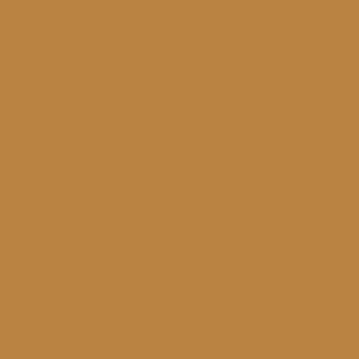 (2 EA) PIGMENT RAW SIENNA 3OZ