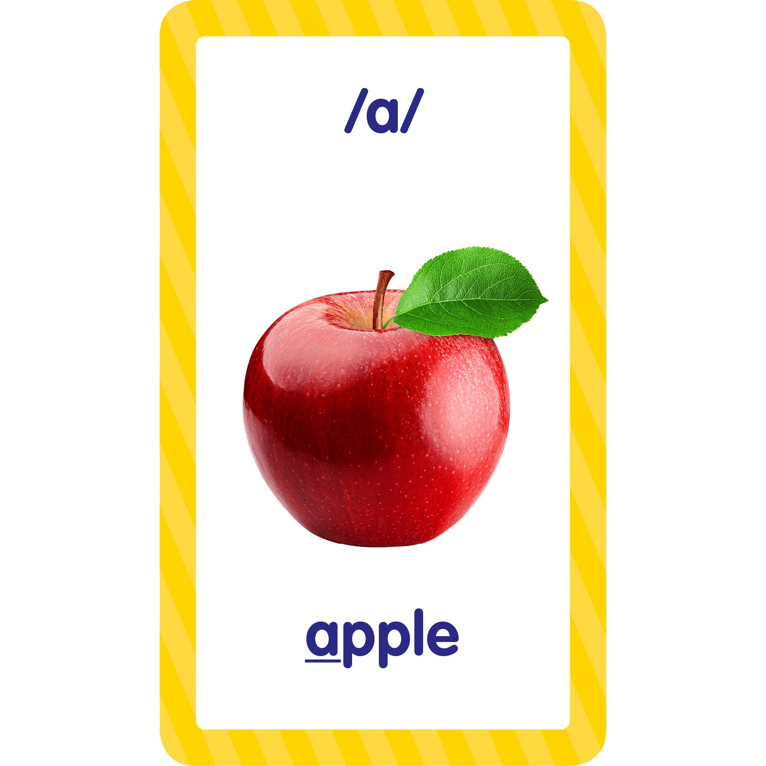 Flash Cards: Language Set 2, 3 Sets