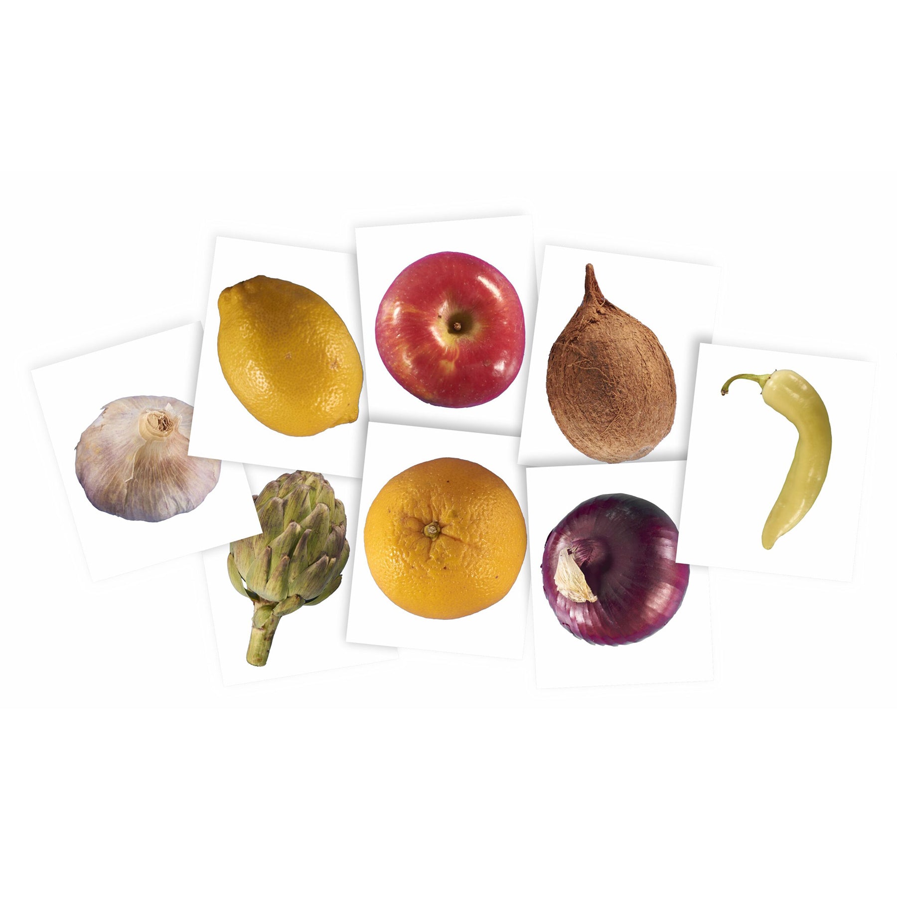 Plant X-Rays & Picture Cards, Set of 42