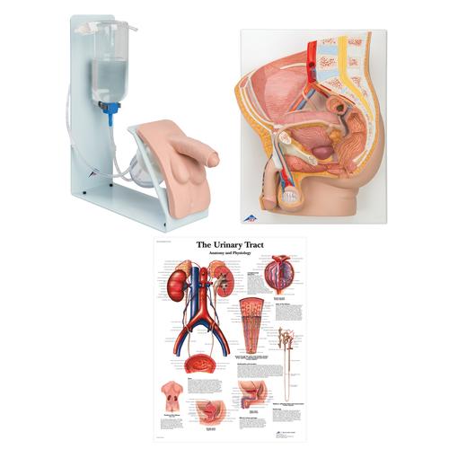 Male Catheterization Basic Kit