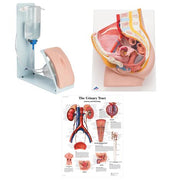 Female Catheterization Basic Kit