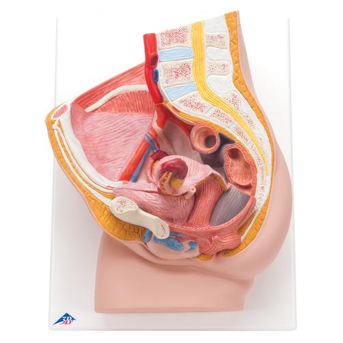Female Catheterization Basic Kit