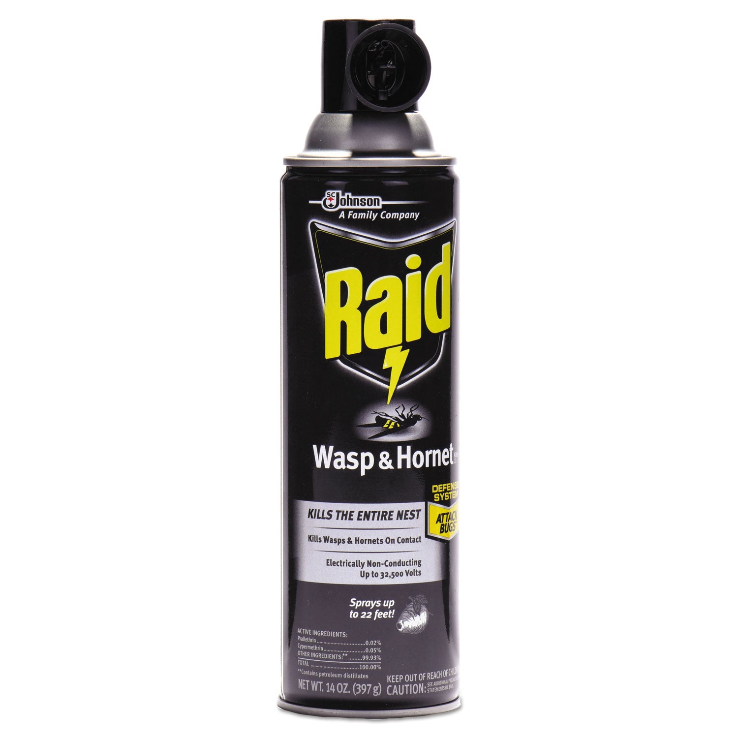 Raid Wasp and Hornet Killer 33, Spray, 14 fl oz, White, 1 Each