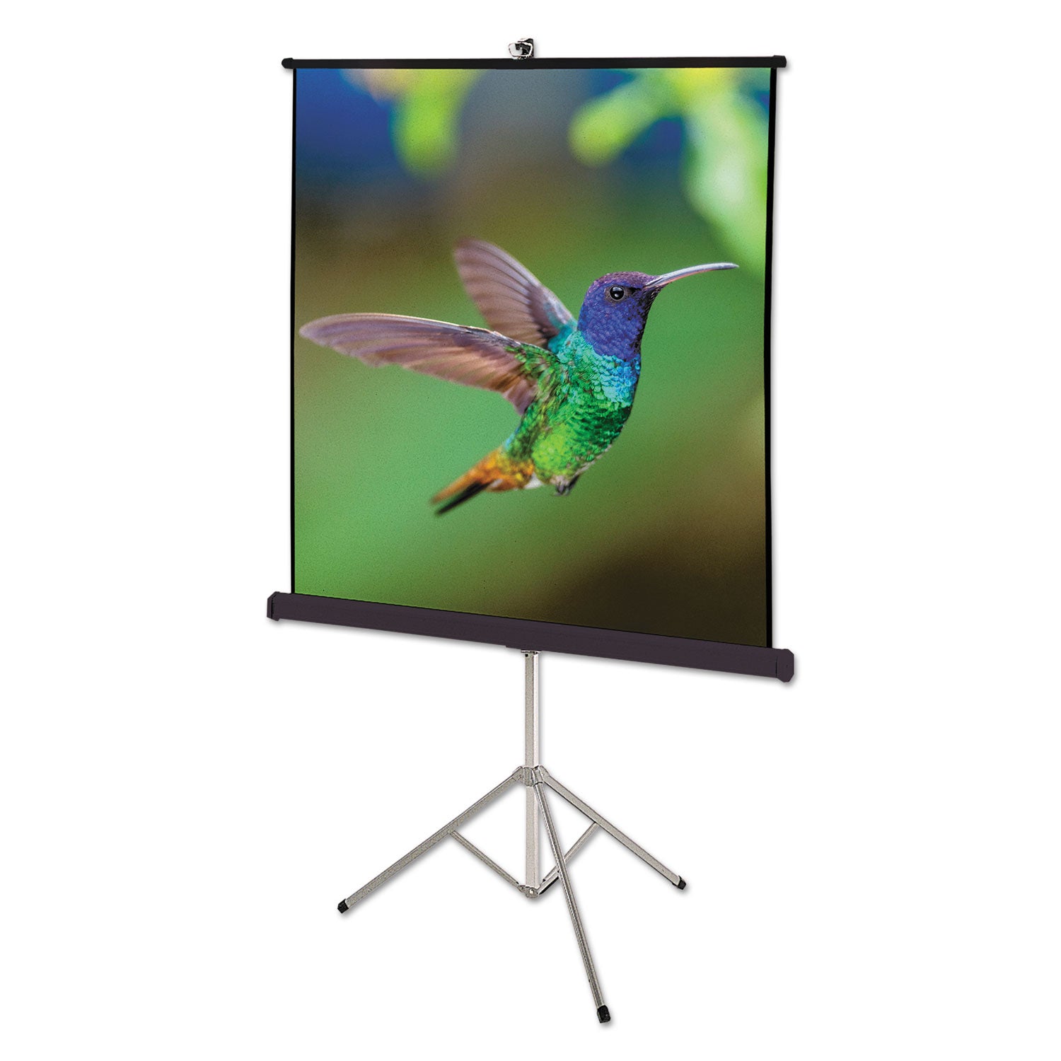 Quartet Manual Projection Screen - 1:1 - Matte White - 60" Height x 60" Width - Surface Mount