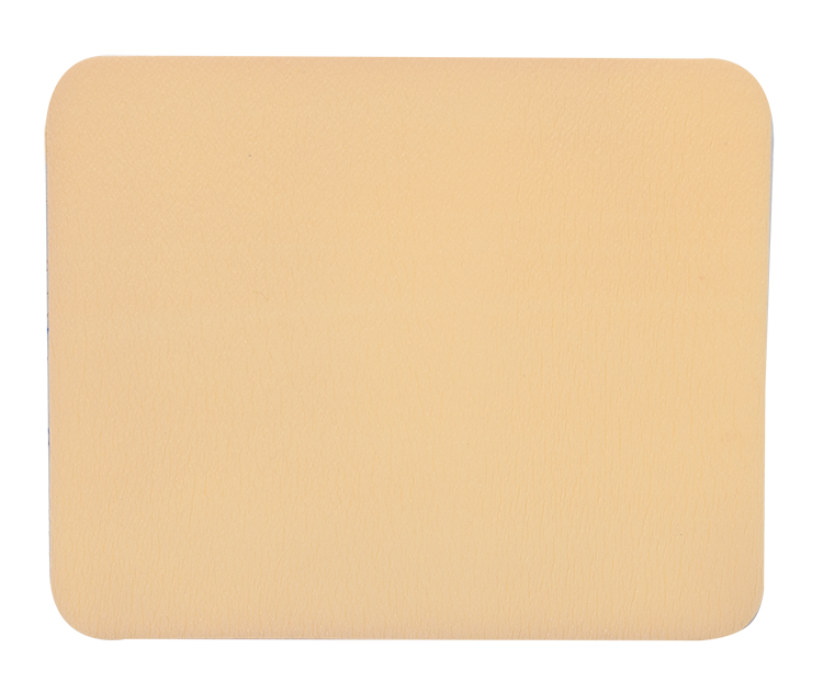 SiliGentle AG - Silicone Foam Dressing, 4" x 5" - 10 pcs per Box/5 boxes per Case