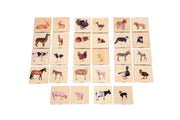 Domestic Animal Family Match - Set of 28