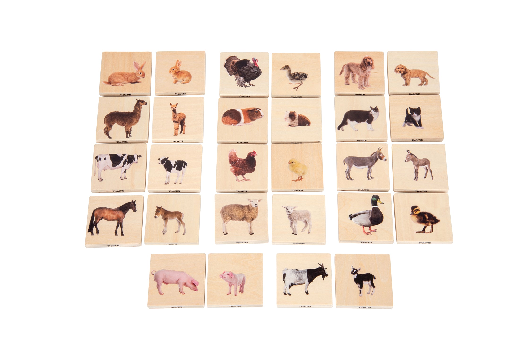 Domestic Animal Family Match - Set of 28