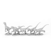Raptor Hunting Pack (5)