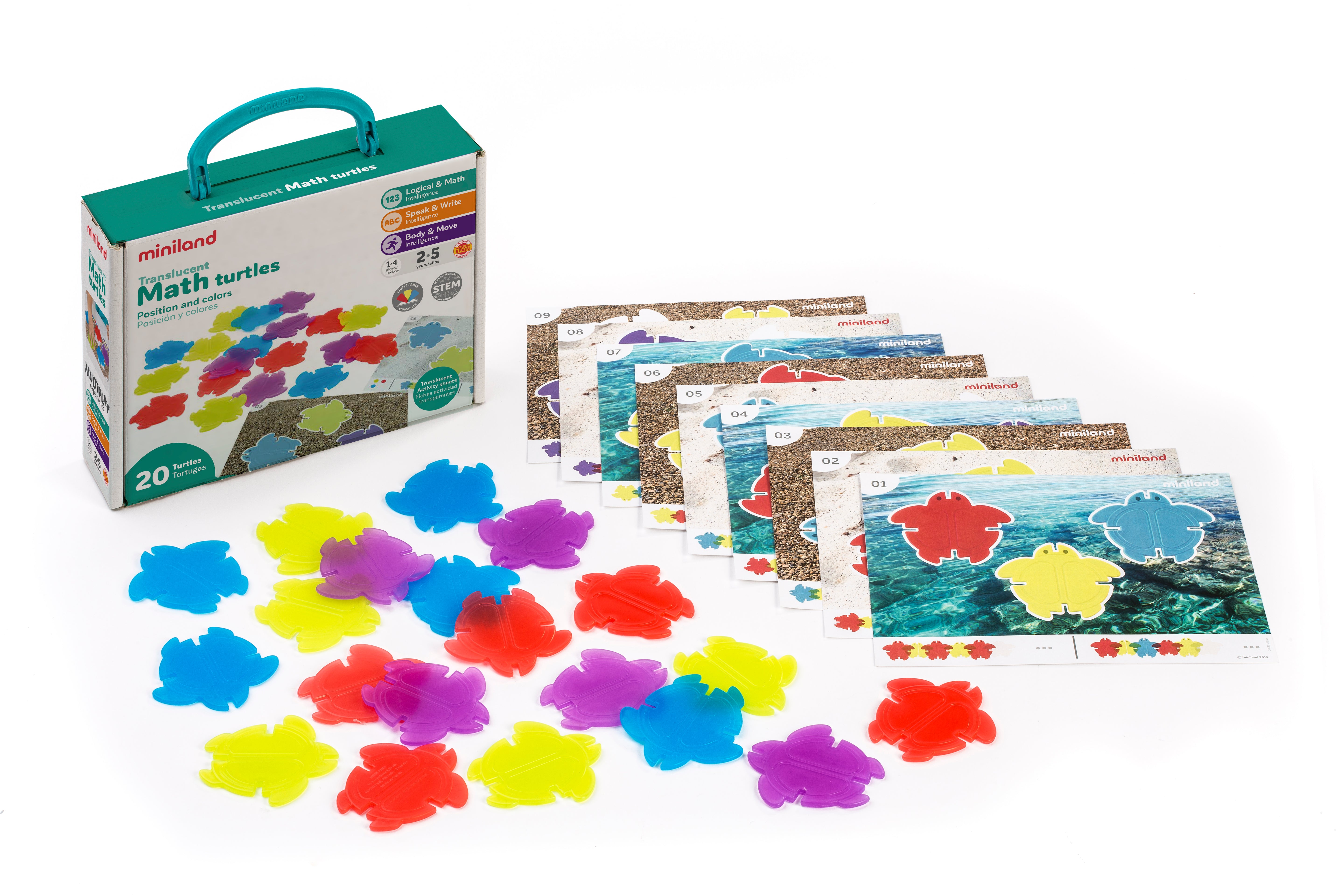 Translucent Math Turtles
