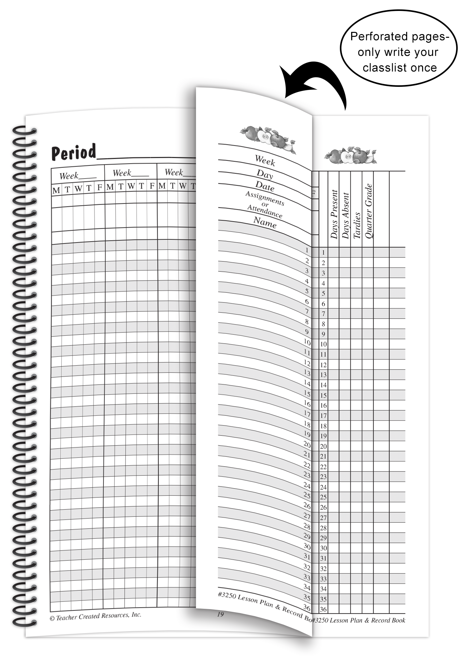 Lesson Plan & Record Book from Susan Winget