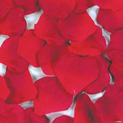 Red Rose Petals - 200 Pieces