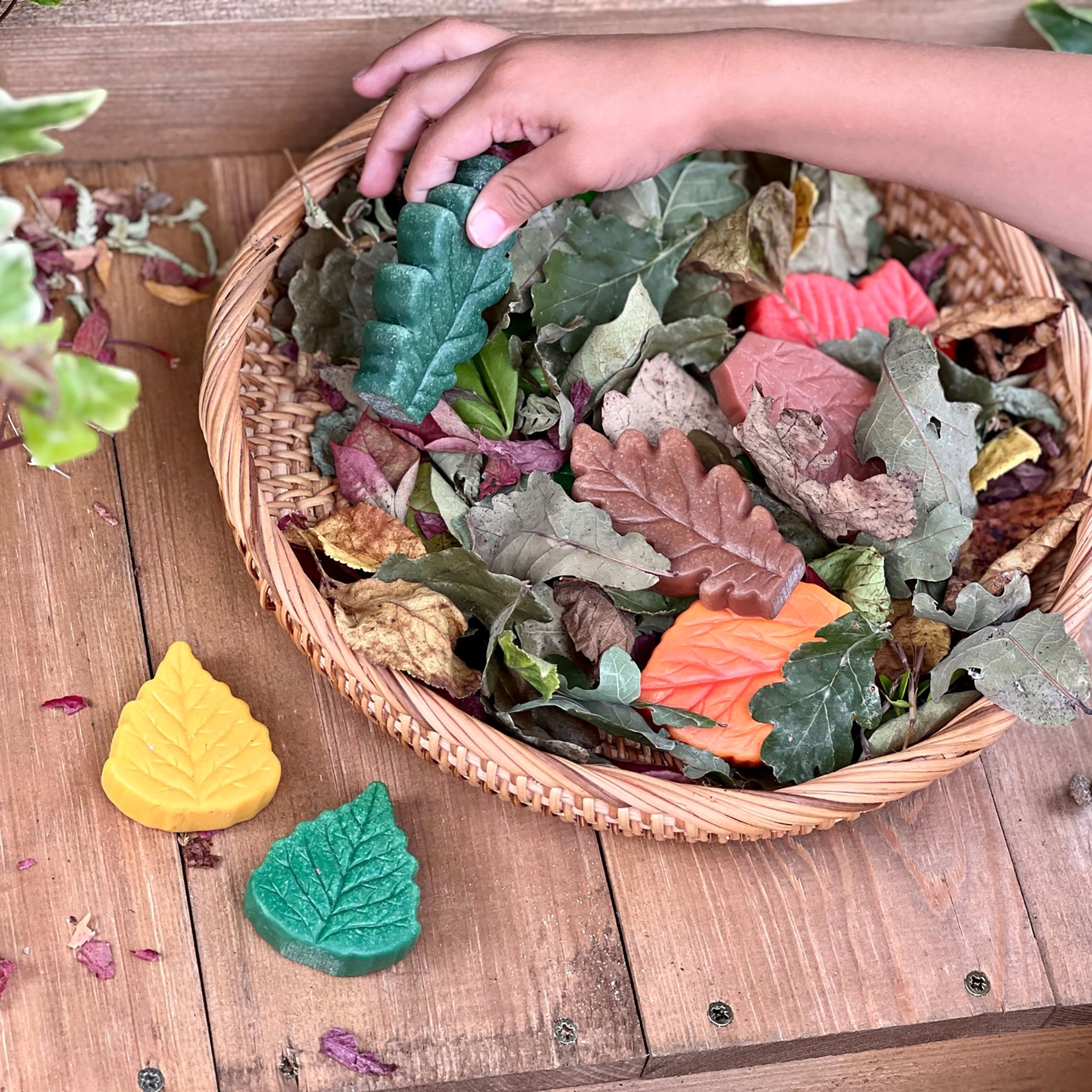 Sensory Play Stones - Leaves - Set of 12