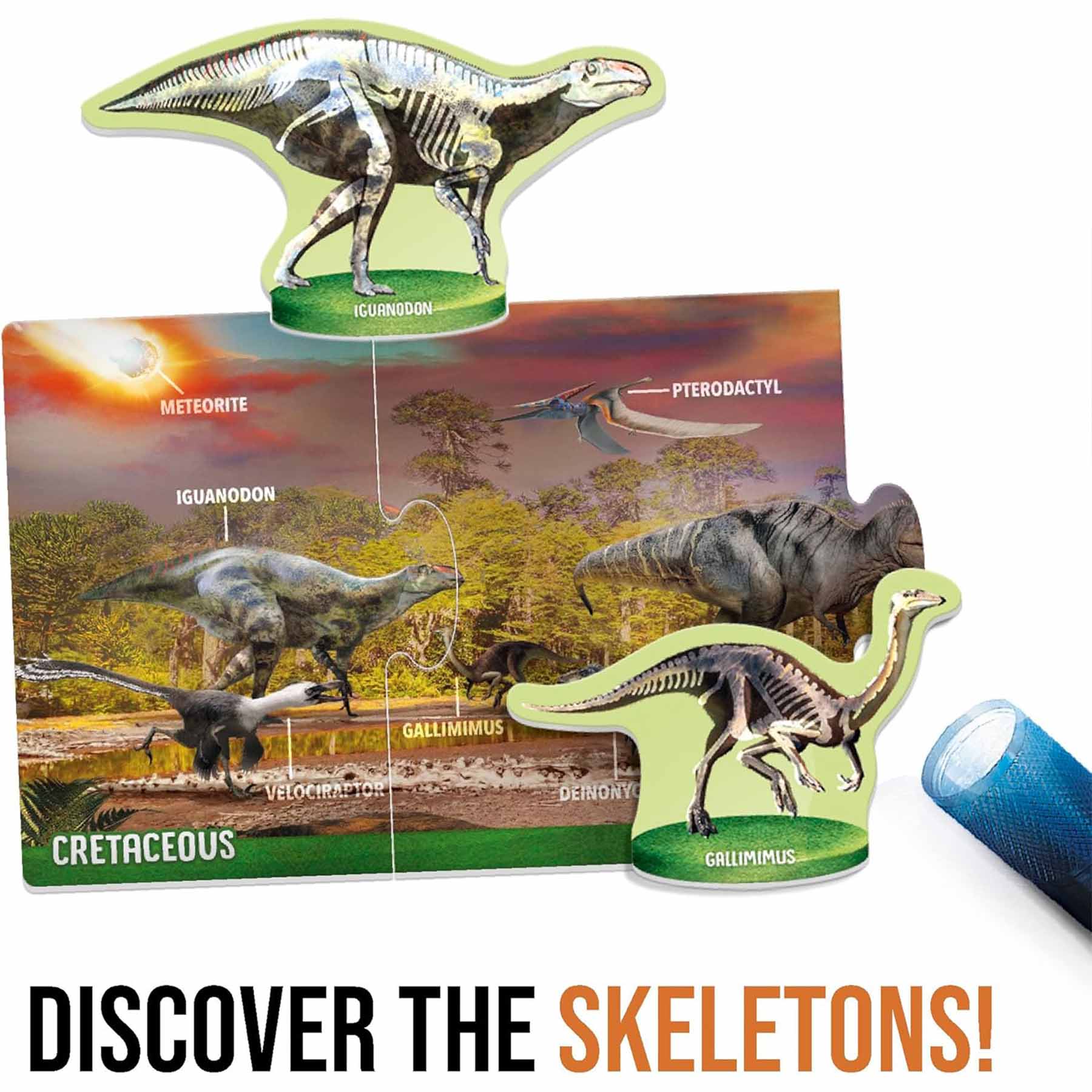 Dinosaurs under X-Ray