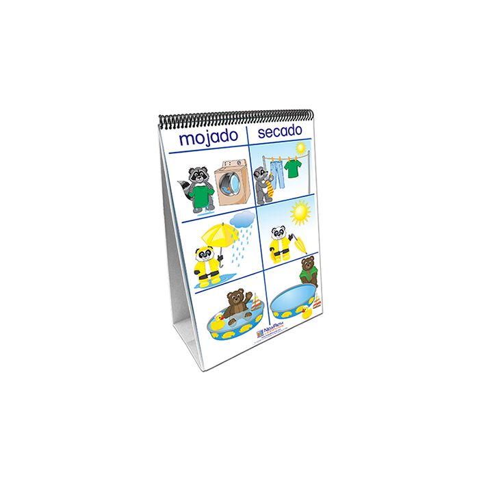 Positions/Opposites Flip Chart Set - Spanish Edition
