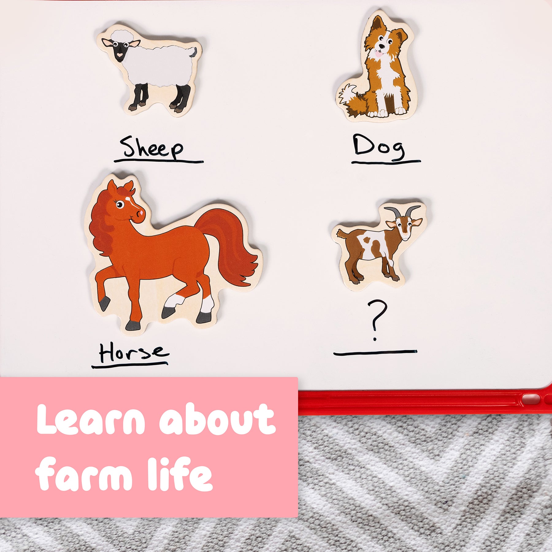 Wooden Magnets- Farm - Set of 20