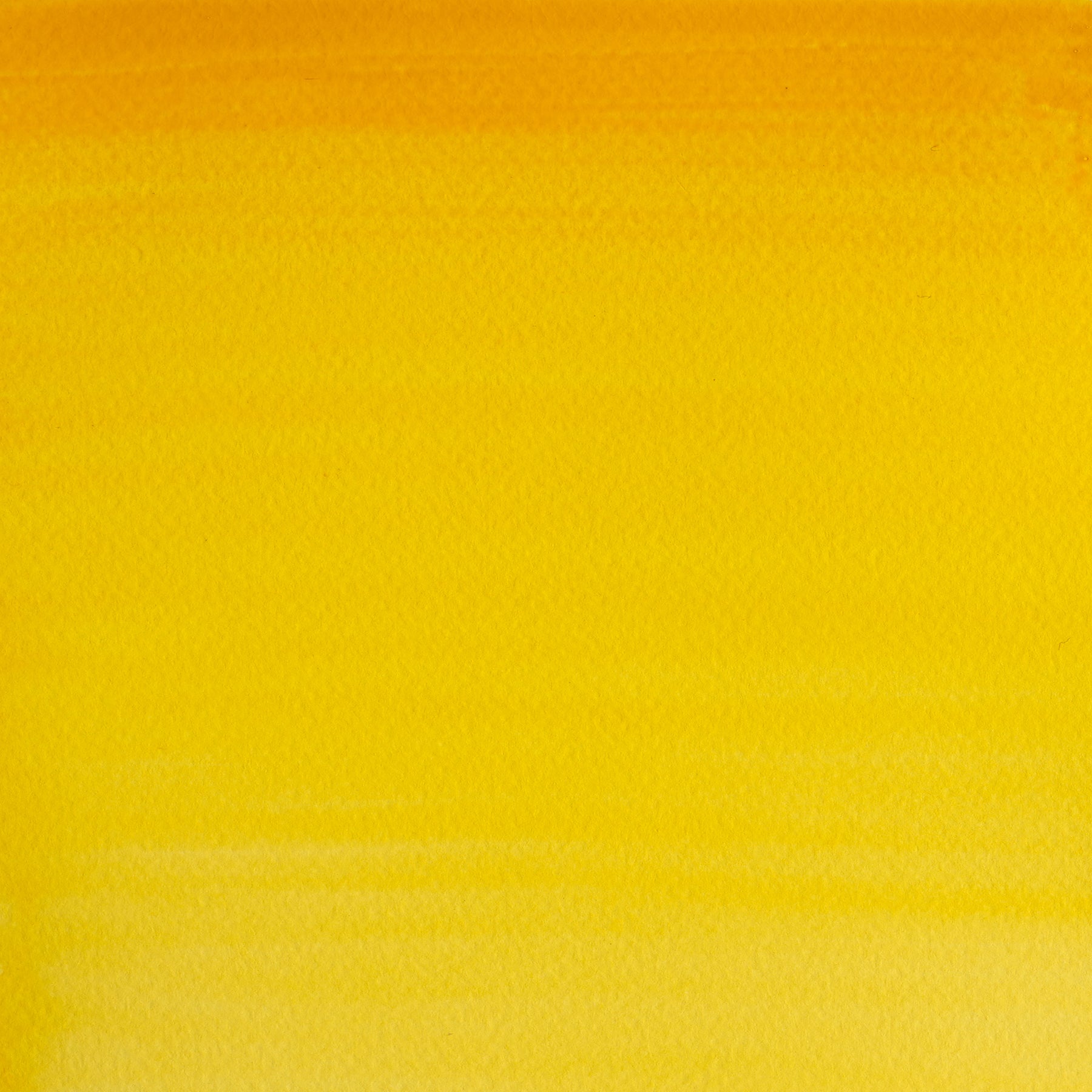 CWC Half Pan - Cadmium Yellow Hue