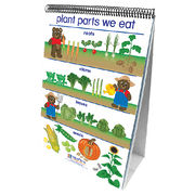 All About Plants Flip Chart Set - English Edition