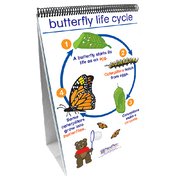 All About Animals Flip Chart Set - English Edition