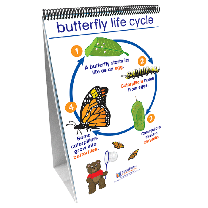 All About Animals Flip Chart Set - English Edition