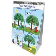 Weather & Sky Flip Chart Set - English Edition