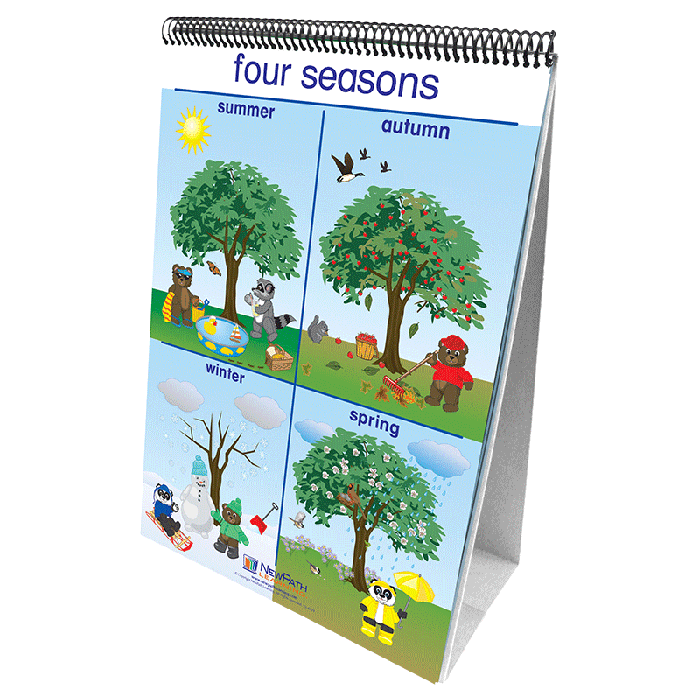 Weather & Sky Flip Chart Set - English Edition