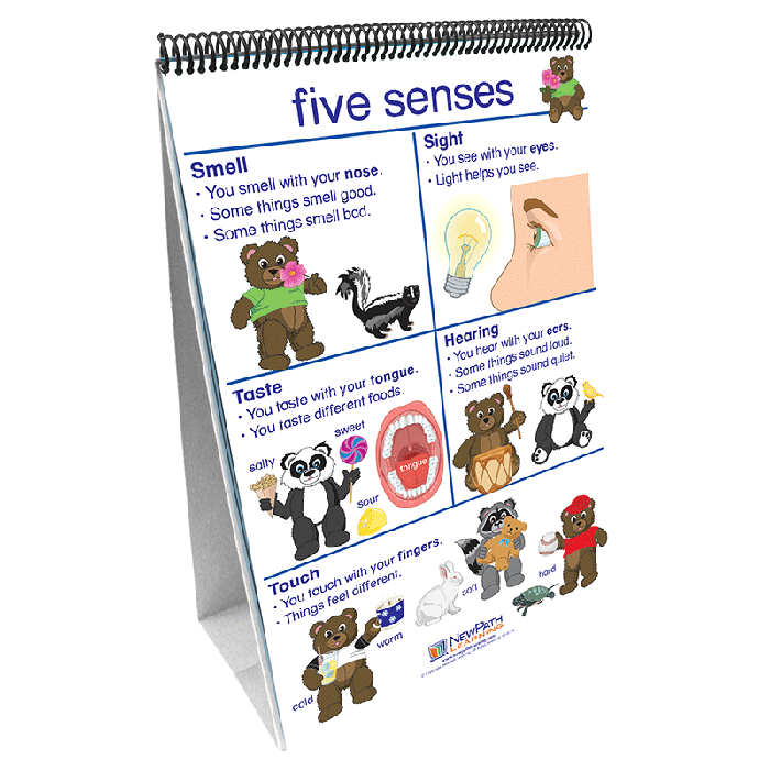 All About Me Flip Chart Set - English Edition