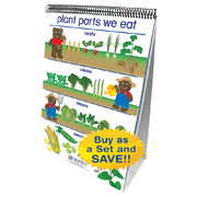Early Childhood Science Readiness Flip Chart Set - Set of 7 - English Edition