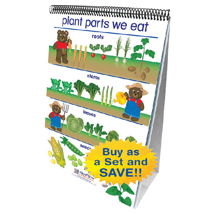 Early Childhood Science Readiness Flip Chart Set - Set of 7 - English Edition