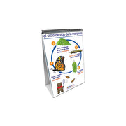 All About Animals Flip Chart Set - Spanish Edition