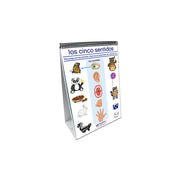 All About Me Flip Chart Set - Spanish Edition