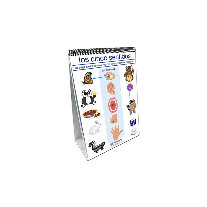 All About Me Flip Chart Set - Spanish Edition