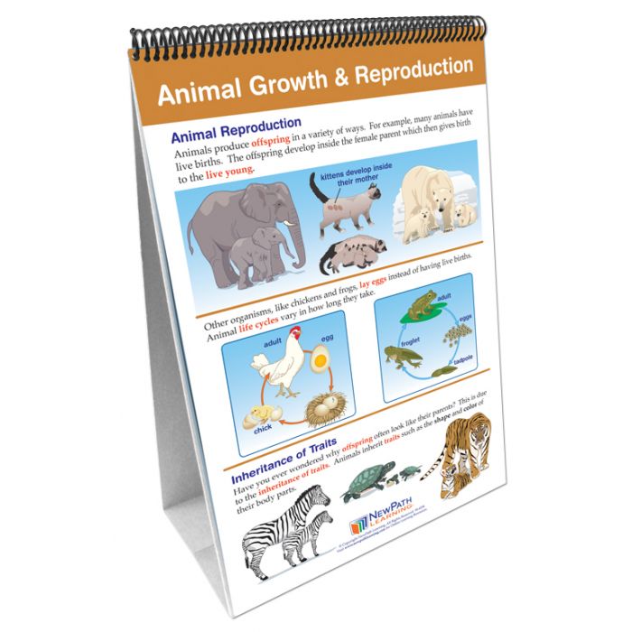 Growth and Development of Plants & Animals Flip Chart Set with Online Multimedia Lesson