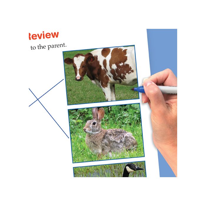Growth and Development of Plants & Animals Flip Chart Set with Online Multimedia Lesson