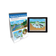 What are Ecosystems Flip Chart Set with Online Multimedia Lesson