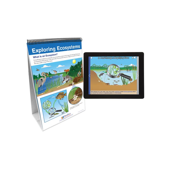 What are Ecosystems Flip Chart Set with Online Multimedia Lesson