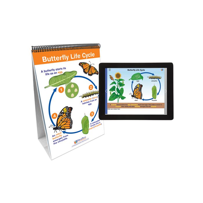 Life Cycles Flip Chart Set with Online Multimedia Lesson