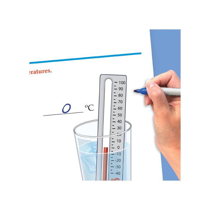 Matter Flip Chart Set