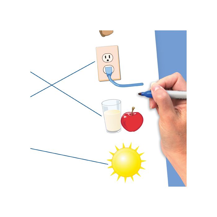 Energy Flip Chart Set
