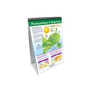 Mastering Middle School Life Science Set - Curriculum Mastery Flip Charts