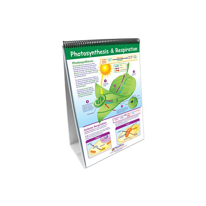 Mastering Middle School Life Science Set - Curriculum Mastery Flip Charts