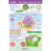 Cells Curriculum Mastery Poster