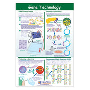 Gene Technology Poster