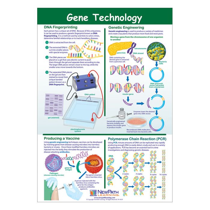 Gene Technology Poster