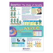 Genetics: The Study of Heredity Poster