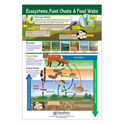Ecosystems, Food Chains & Food Webs Poster