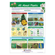 All About Plants Poster