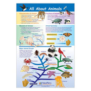 All About Animals Poster