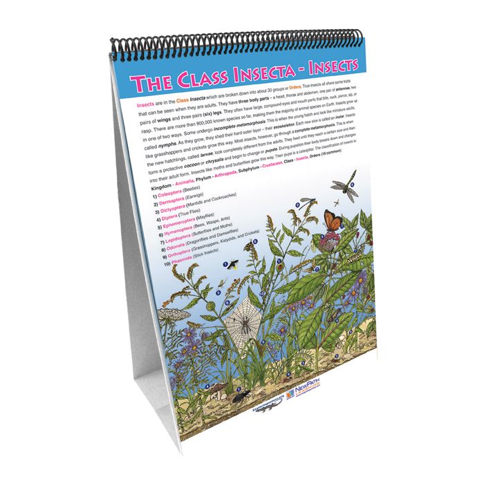 Classification of Living Things Flip Chart Set